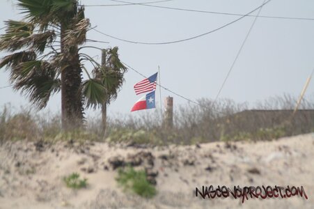 IMG_3336.jpg