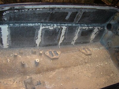 DSC00357 (Large).JPG