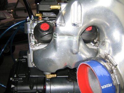 TS 5mm Lamey..JPG