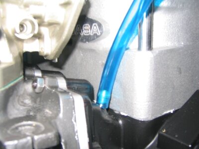 TS 5mm Lamey...JPG