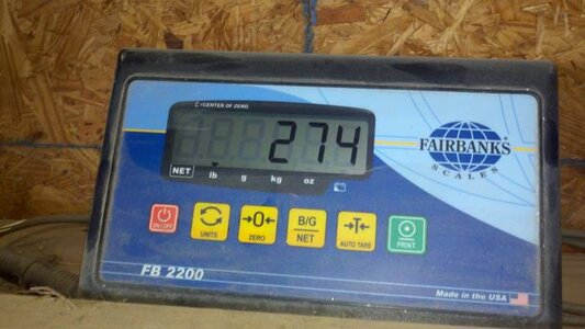 weight1.jpg