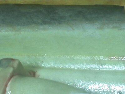 misc 045.jpg misc 045.jpg