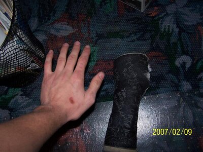 100_1464.jpg