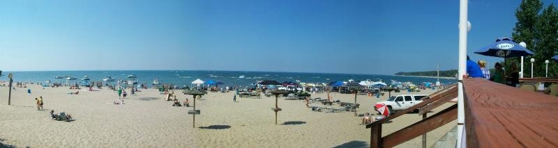 100_2197.jpg 100_2197.jpg