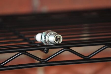 IMG_4761.jpg IMG_4761.jpg