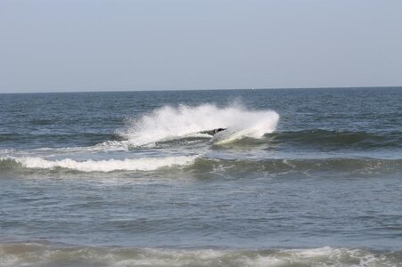 IMG_1384.jpg