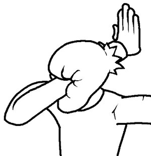 Epic-facepalm.jpg Epic-facepalm.jpg