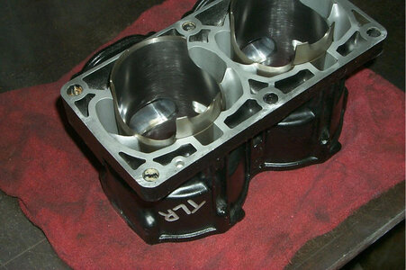 TLR1.jpg