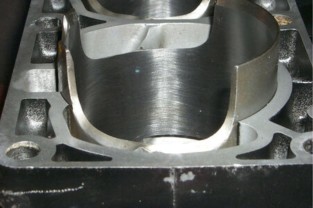TLR6.jpg