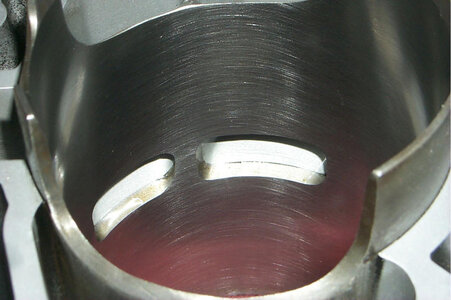 TLR7.jpg