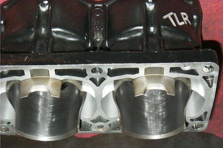 TLR8.jpg