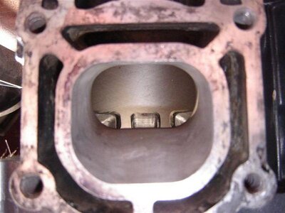 Copy of DSC00344%20%28Large%29.JPG