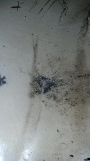 2012-11-08 18.40.20.jpg