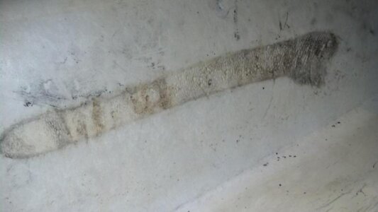 2012-11-08 18.40.43.jpg