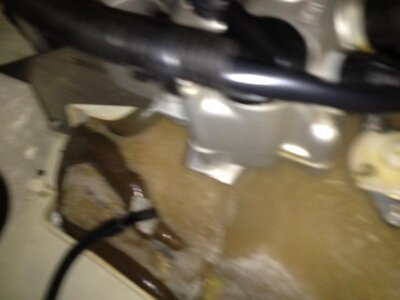 IMG_1618.jpg IMG_1618.jpg