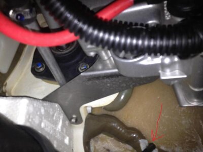 IMG_4242.jpg IMG_4242.jpg