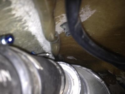 IMG_4254.jpg IMG_4254.jpg