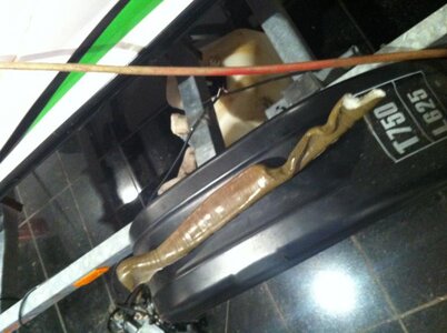 IMG_2766.jpg IMG_2766.jpg