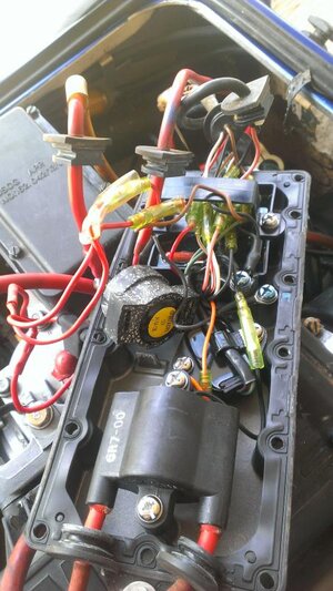 IMAG0221.jpg