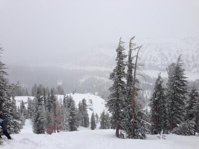 IMG_5776.jpg