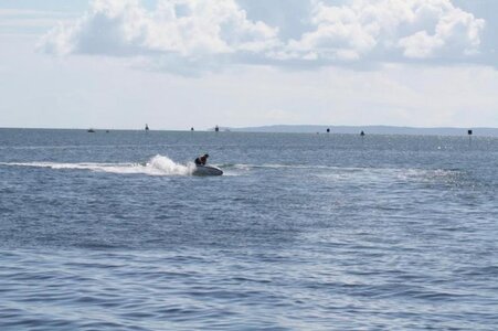 pjM100L.jpg pjM100L.jpg