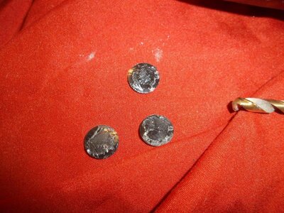 BUILD#10 043.jpg BUILD#10 043.jpg