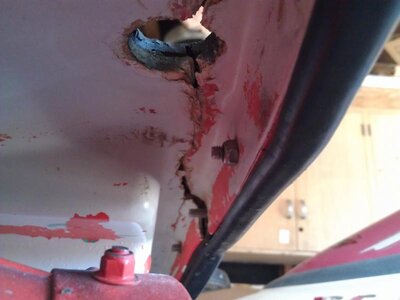 IMAG0110.jpg
