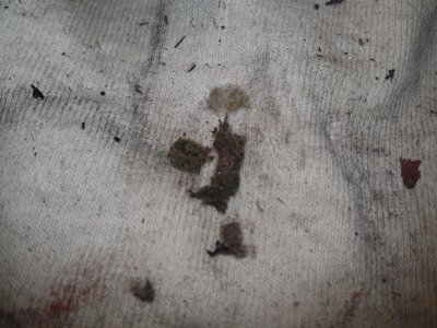 IMAG0120.jpg