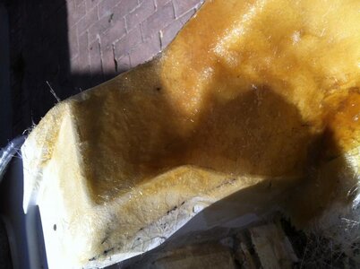 IMG_1655.jpg IMG_1655.jpg