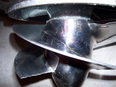 100_0245.jpg