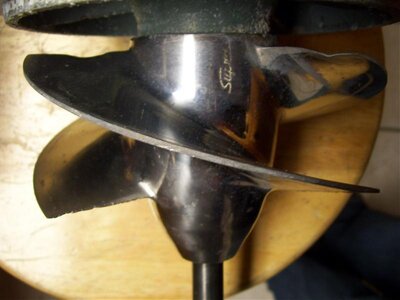 100_0250.jpg