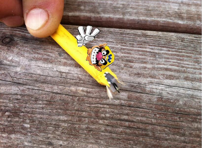 9937910346_83a6420b86_b.jpg 9937910346_83a6420b86_b.jpg