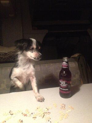 Lucy 2.JPG