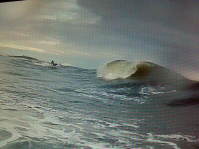 IMG05971-20131102-0106.jpg