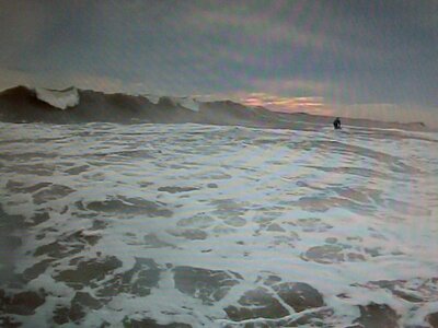 IMG05973-20131102-0111.jpg
