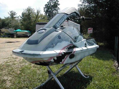 shark1.jpg