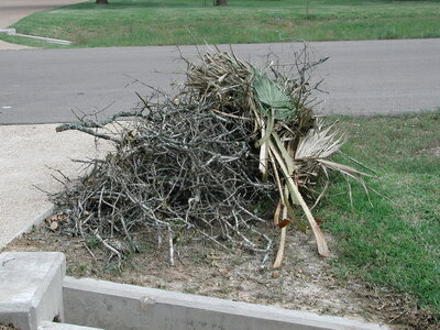 Post-Oak7.jpg