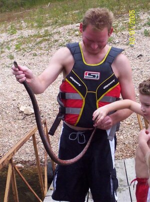 snake3.jpg