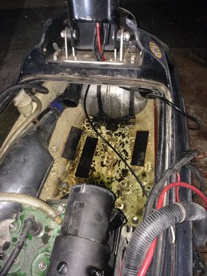 photo 1-1.JPG photo 1-1.JPG