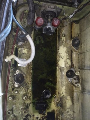 photo 2-1.JPG photo 2-1.JPG