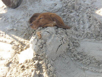 may crystal beach 050.jpg