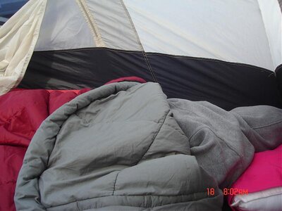 SFF 004.jpg