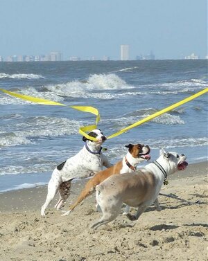 Simon kite tail grabx.jpg