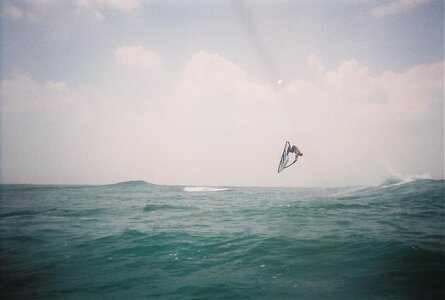 gump stap in duck pond.jpg