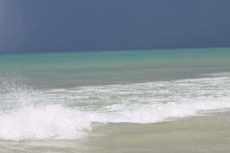IMG_1233.JPG