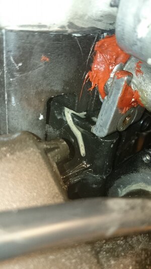 DSC_0477.JPG DSC_0477.JPG
