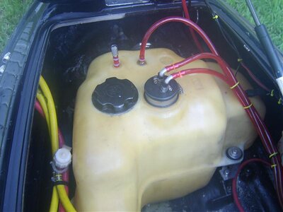 STA74870.jpg