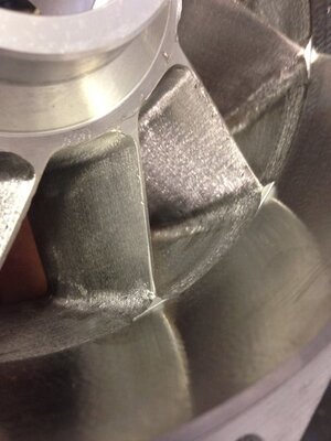 z10665375_801360753264521_7892928433380960407_n.jpg z10665375_801360753264521_7892928433380960407_n.jpg