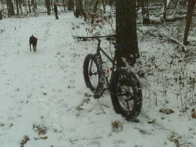 winter ride.JPG
