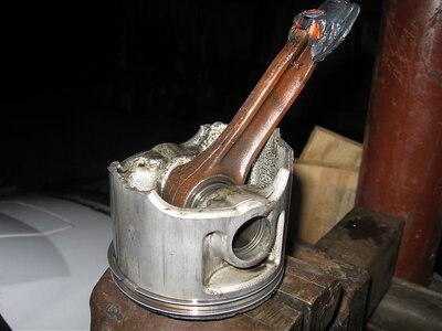 IMG_0403.jpg